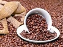 https://www.everlive.ru/all-truth-about-coffee-and-caffeine/