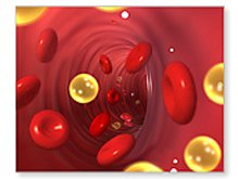 https://www.everlive.ru/10-best-helpers-against-high-cholesterol-level/