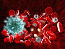 Что такое иммунная система и как она работает