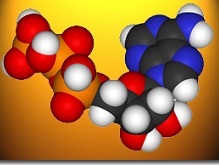 Молекула АТФ