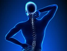 https://www.everlive.ru/healthy-backbone-healthy-organism/