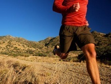 https://www.everlive.ru/running-exercises-for-endurance/